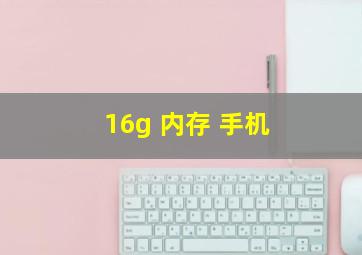 16g 内存 手机